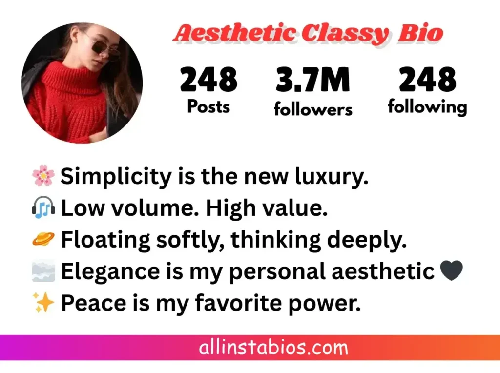 Aesthetic Classy Instagram Bio Aesthetic Classy Instagram Bio