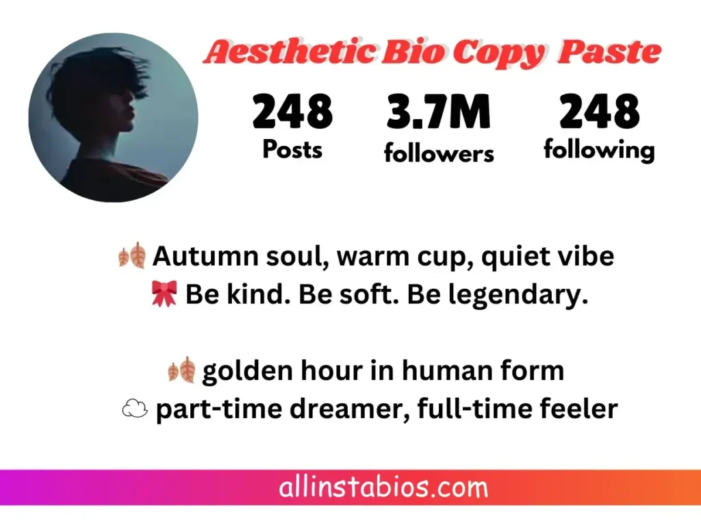 Aesthetic Bio for Instagram Copy and Paste Aesthetic Bio for Instagram Copy and Paste