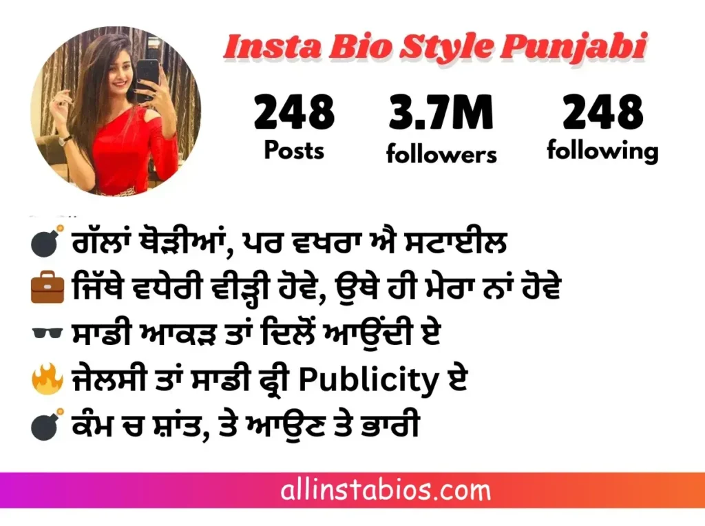 Instagram Bio Style Punjabi Instagram Bio Style Punjabi