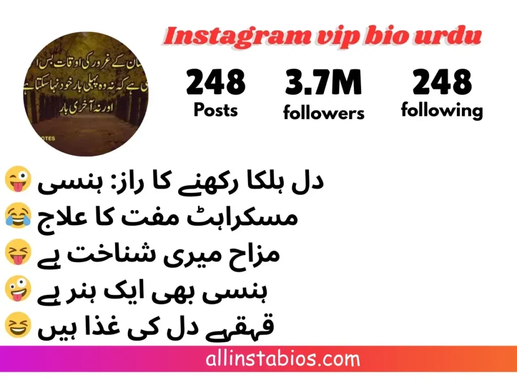 Instagram Vip Bio Urdu Instagram Vip Bio Urdu
