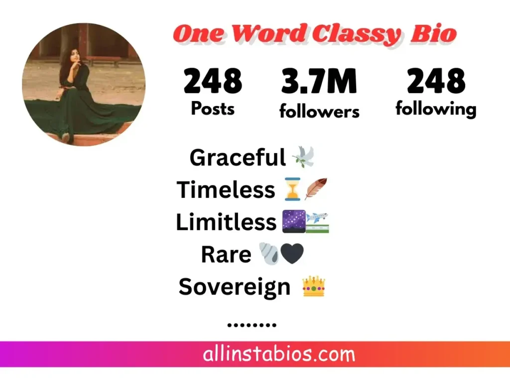 One Word Classy Instagram Bio One Word Classy Instagram Bio