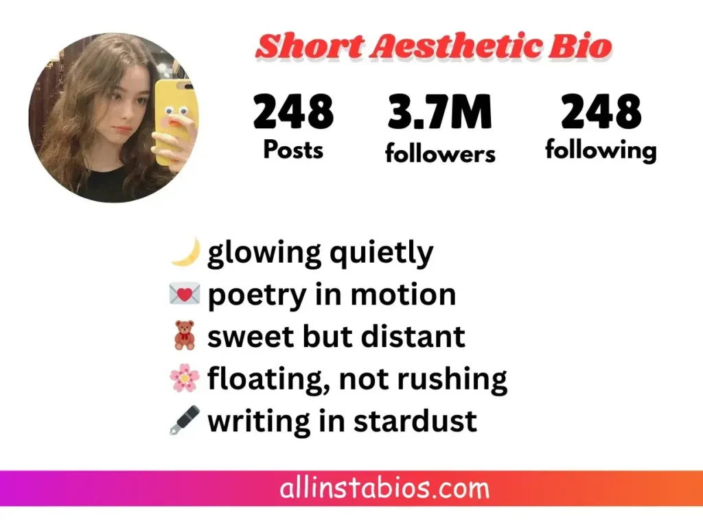 Short Aesthetic Bio for Instagram Short Aesthetic Bio for Instagram