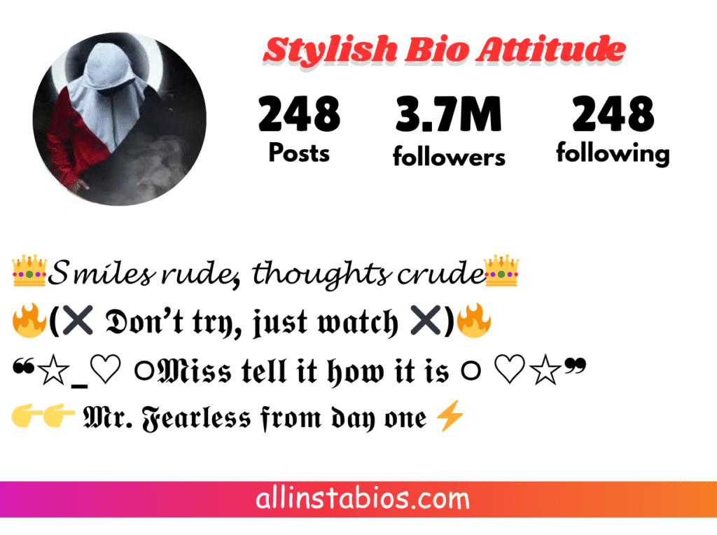 Stylish Bio for Instagram Attitude Stylish Bio for Instagram Attitude