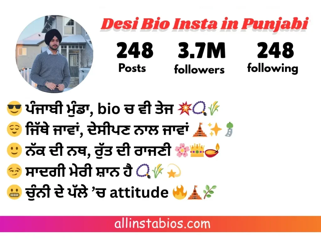 Desi Bio for Instagram in Punjabi