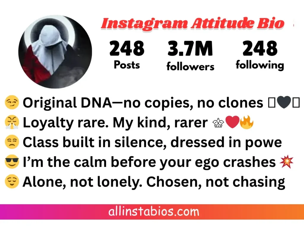 Instagram Attitude Bio Instagram Attitude Bio
