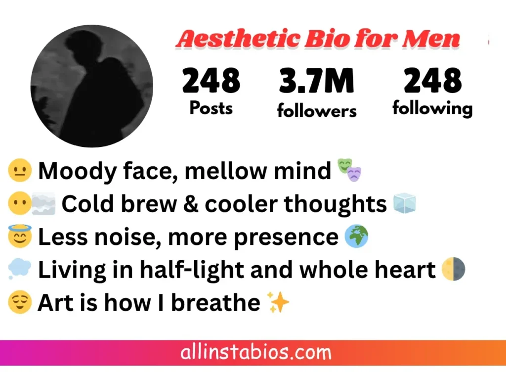 Instagram Bio for Men Aesthetic Instagram Bio for Men Aesthetic