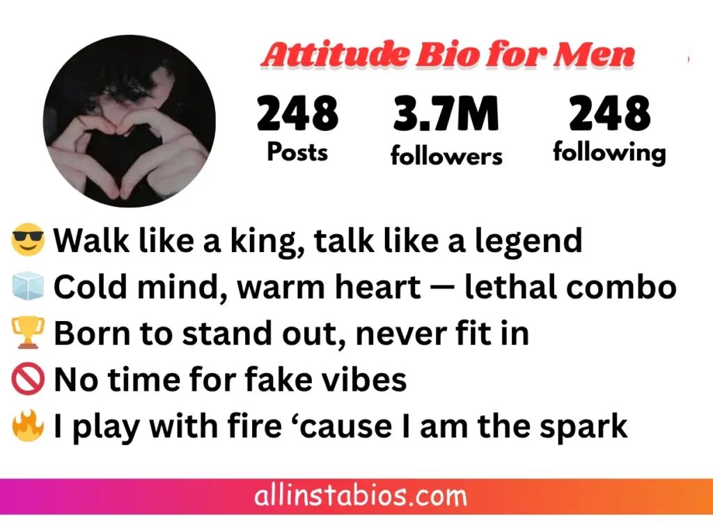 Instagram Bio for Men Attitude Instagram Bio for Men Attitude