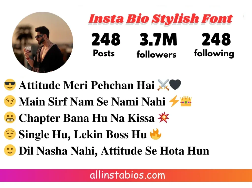 Instagram Bio Hindi Attitude Boy Stylish Font
