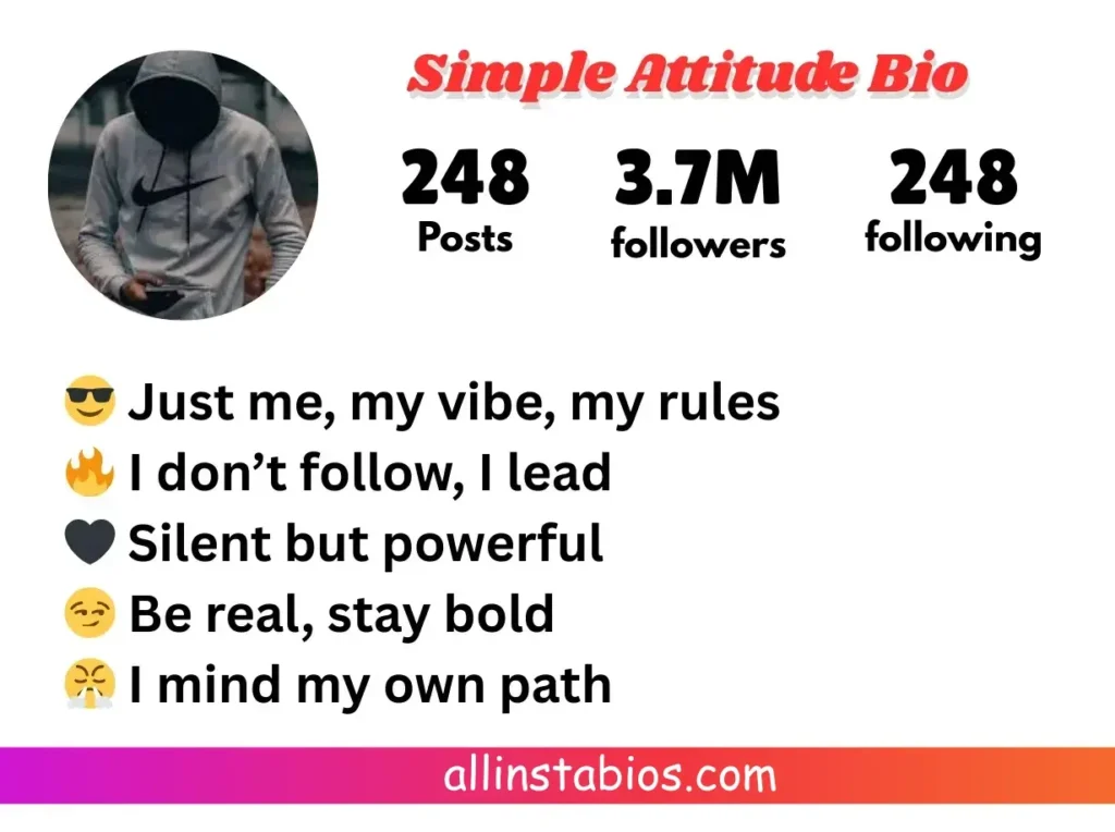 Simple Instagram Bio for Boys Attitude Simple Instagram Bio for Boys Attitude