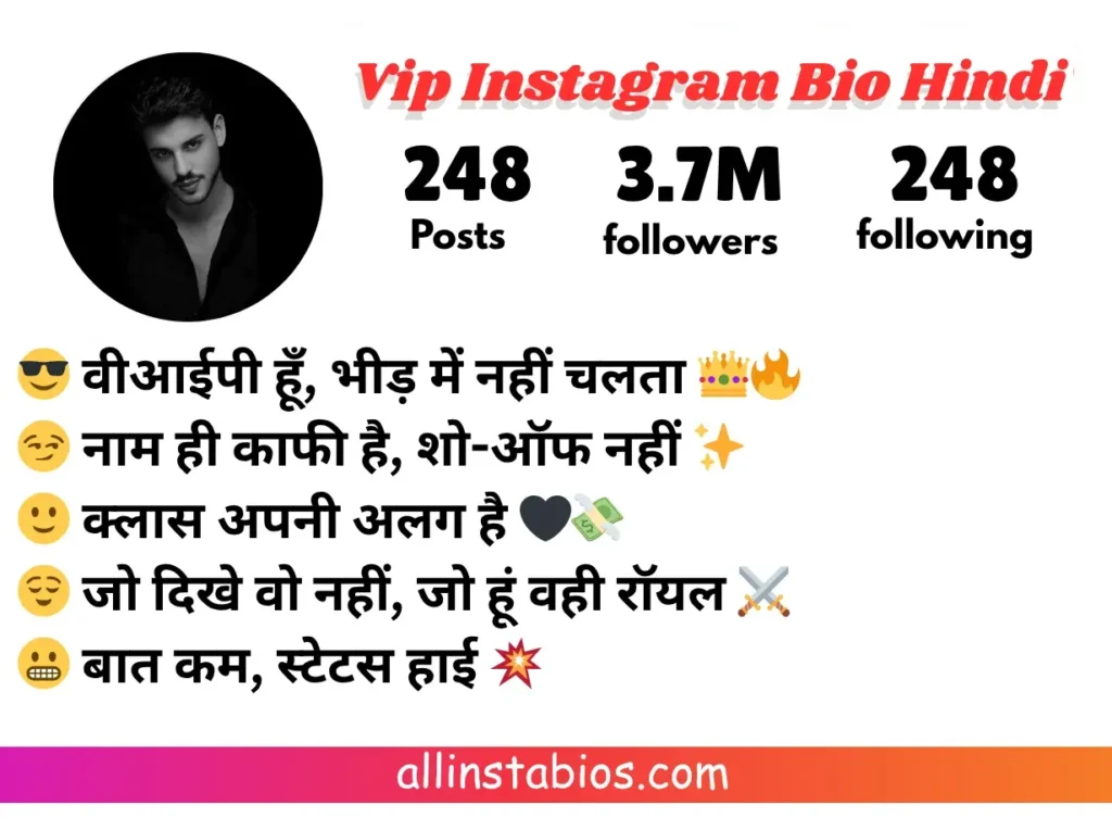 Vip Instagram Bio Hindi