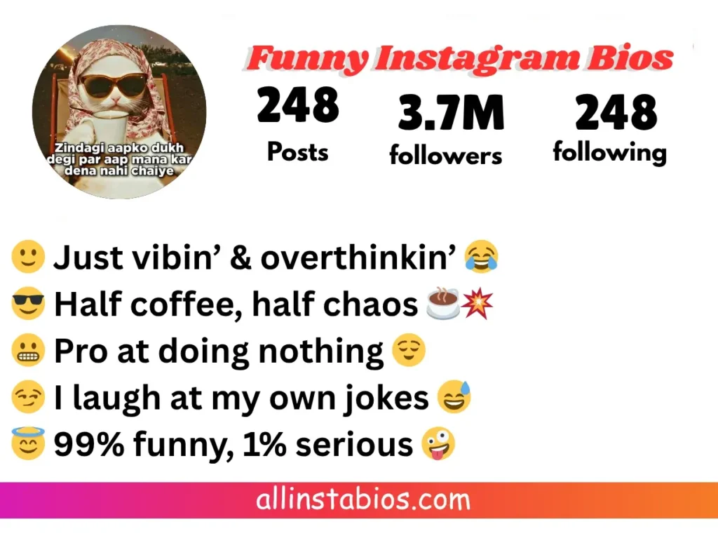 Funny Instagram Bios
