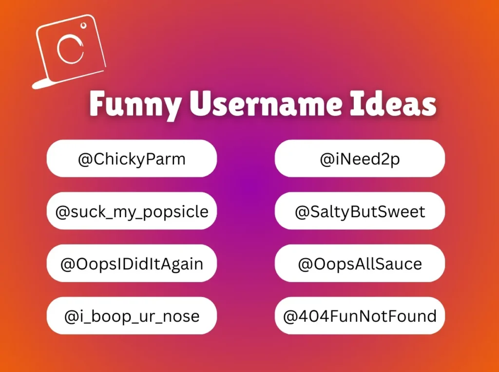 Funny Instagram Username Ideas