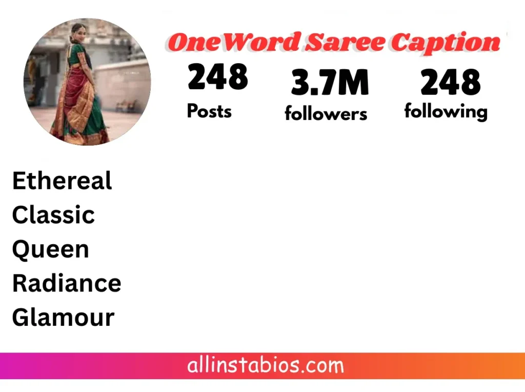 One-Word Captions for Saree