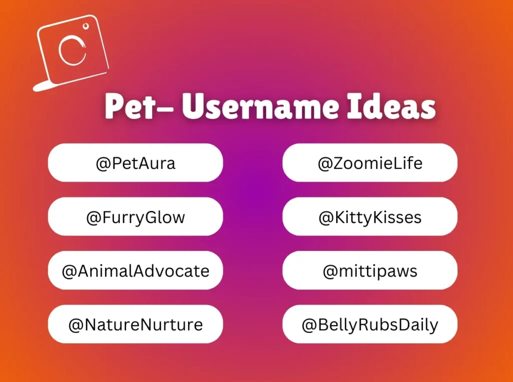 Pet Influencer Instagram Username Ideas