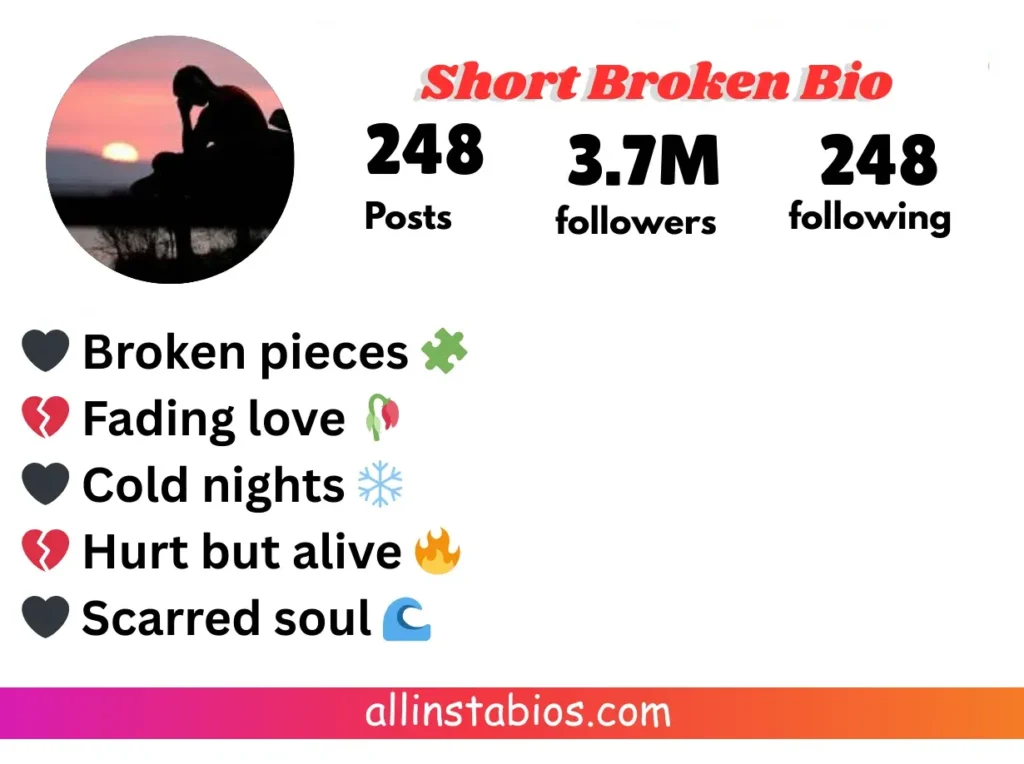 Short Broken Bio for Instagram
