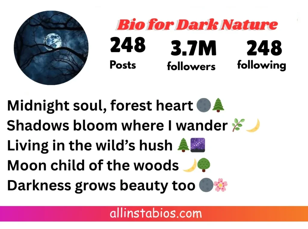 Top Instagram Bio for Dark Nature